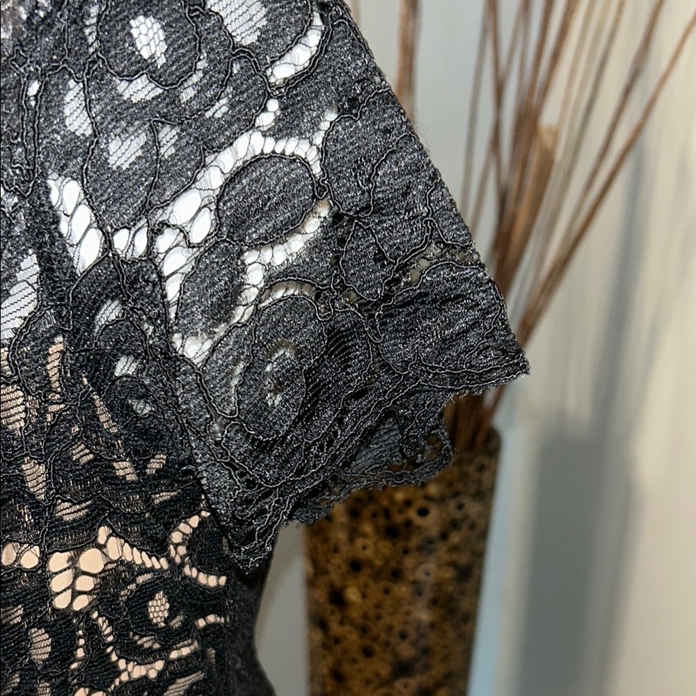 Adrianna Papell Black Tan Off-Shoulder Flutter Sleeve Mini Dress - Picture 5 of 11